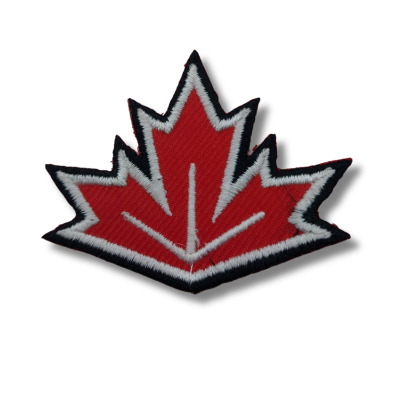 Image-1-13